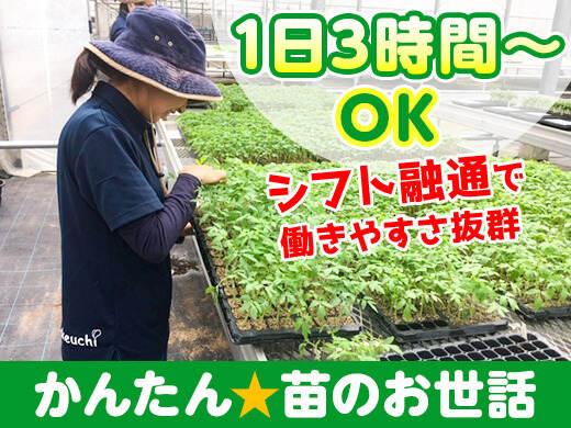 エバーグリーン富士見　採用係の仕事画像3