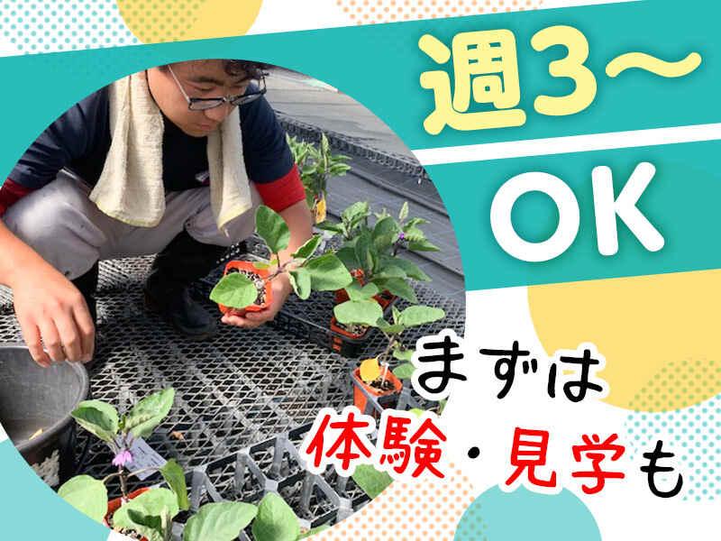 エバーグリーン富士見　採用係の仕事画像1