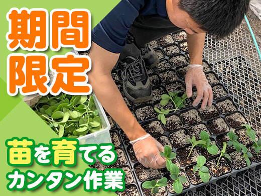 エバーグリーン富士見　採用係の仕事画像2