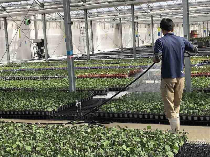 株式会社エバーグリーン富士見の仕事画像3