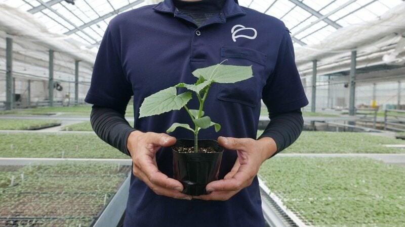 株式会社エバーグリーン富士見の仕事画像1