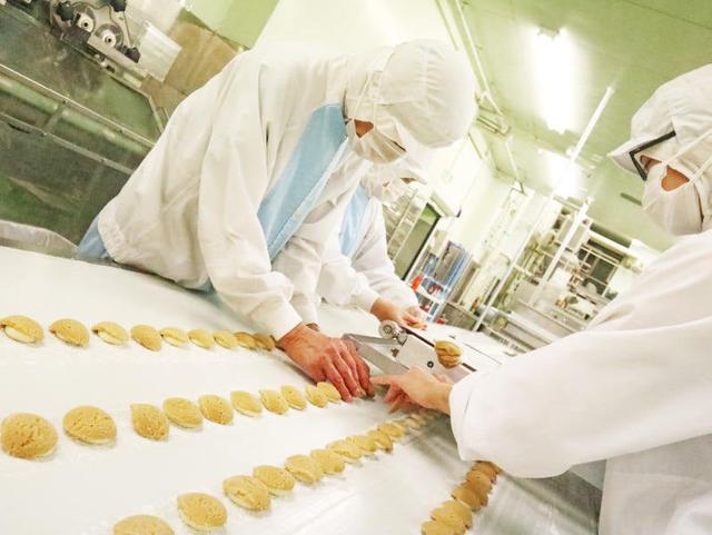 ＜短期募集＞年末年始にがっつり稼げる！工場内作業│フジパン(工場・製造、横浜市旭区)のイメージ画像