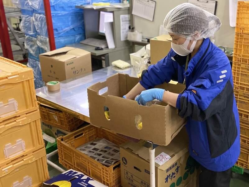 デリカフーズ株式会社　大阪事業所の仕事画像2