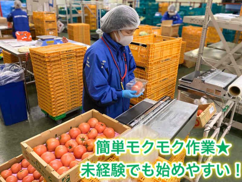 デリカフーズ株式会社　大阪事業所の仕事画像3