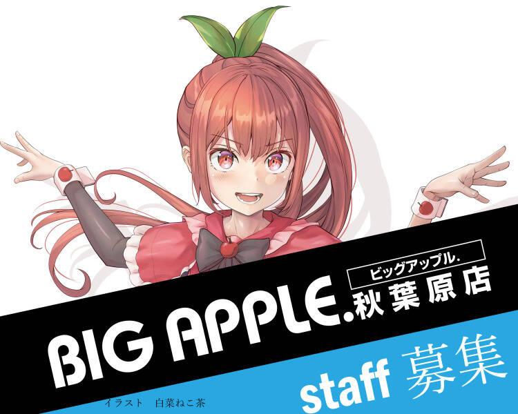ビッグアップル.秋葉原店の仕事画像3