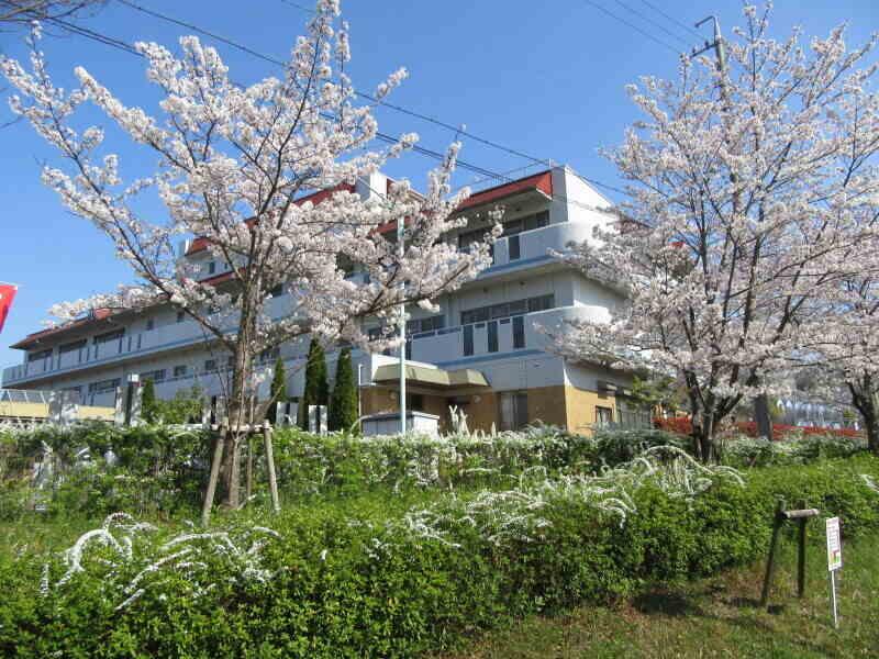 株式会社フロンティア 採用係　人材紹介部門の仕事画像3