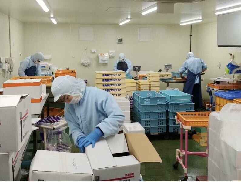 株式会社フロンティア 採用係　(直)の仕事画像1