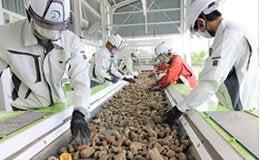 株式会社フロンティア 採用係　派遣部門の仕事画像1