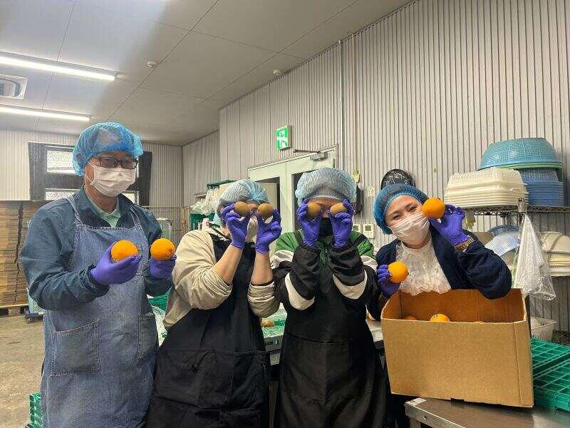 丸安青果株式会社の仕事画像1