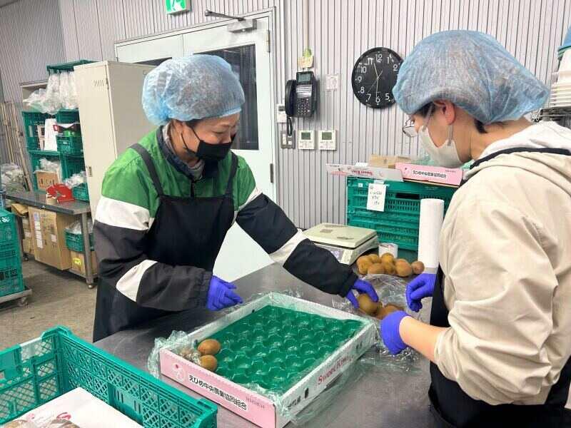 丸安青果株式会社の仕事画像2