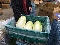 丸安青果株式会社の仕事画像3