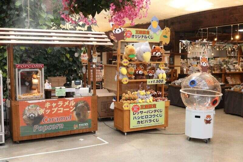 神戸どうぶつ王国の仕事画像3