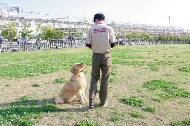 神戸どうぶつ王国の仕事画像2