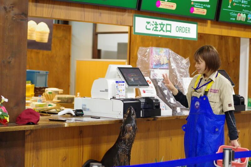 神戸どうぶつ王国の仕事画像2