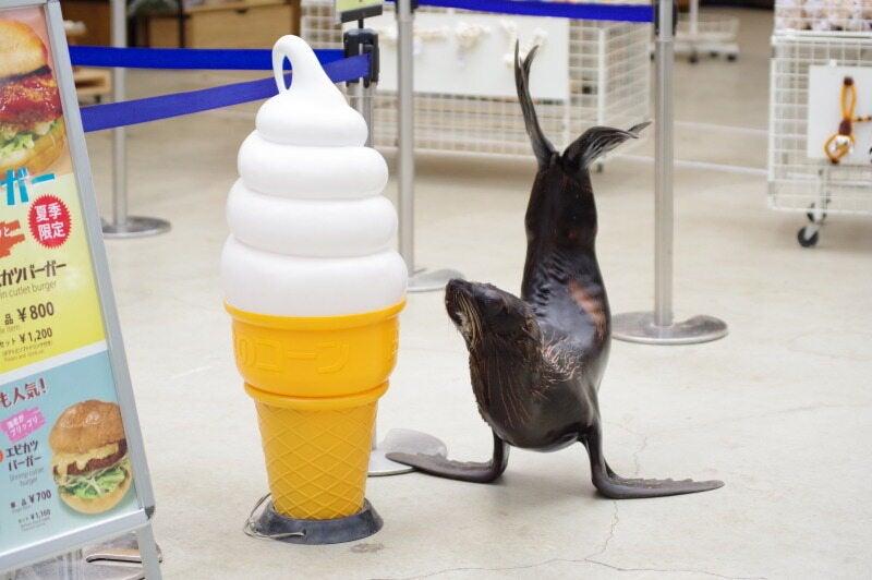 神戸どうぶつ王国の仕事画像3