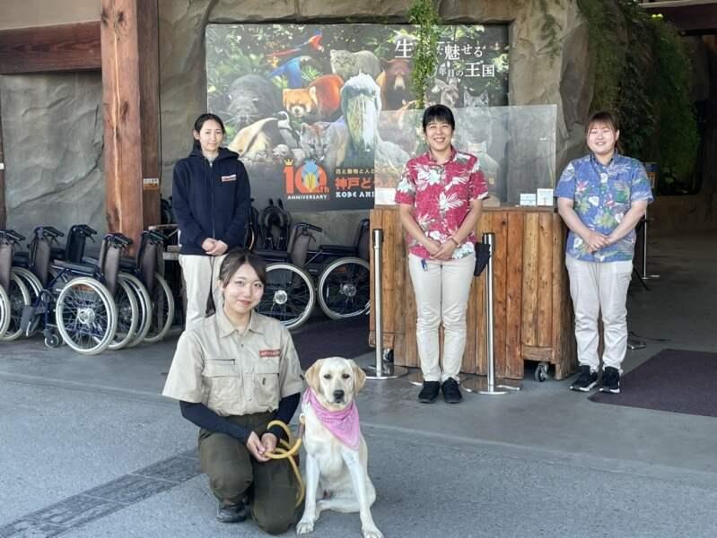 神戸どうぶつ王国の仕事画像3
