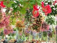 神戸どうぶつ王国の仕事画像3