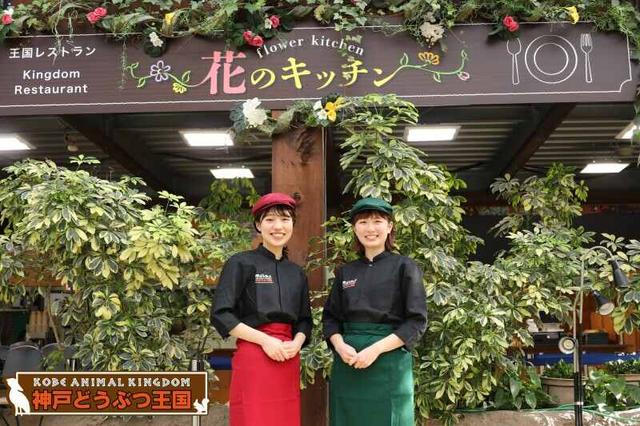 土日時給1200円/ハシビロコーヒー等,人気メニュー考案も♪フード(販売、神戸市中央区)のイメージ画像