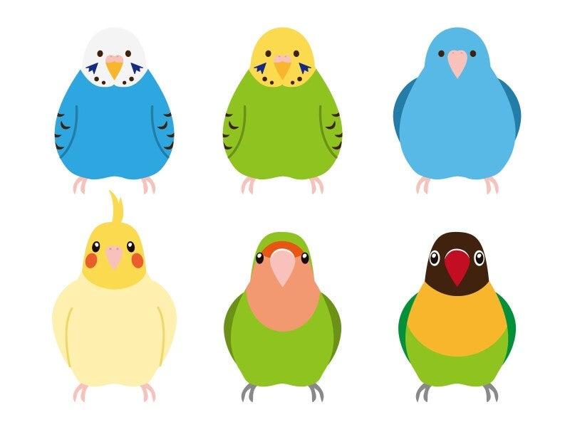 株式会社ログロール 船橋キャリアコネクトセンター （32301）の仕事画像1