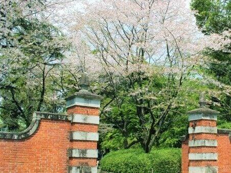 二幸産業株式会社 首都圏第二支社の仕事画像3