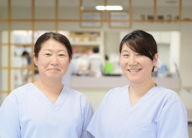 株式会社エイビス 株式会社エイビス【N3】の仕事画像1