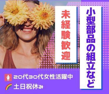 株式会社エイビス 株式会社エイビス【N3】の仕事画像1