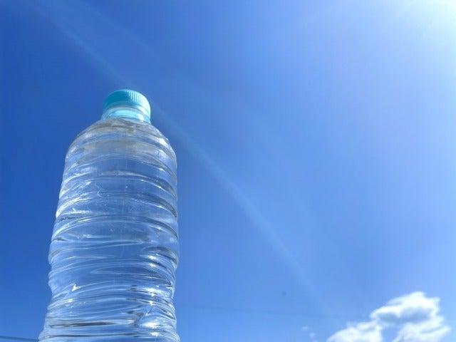 株式会社エイビス 株式会社エイビス【N3】の仕事画像1