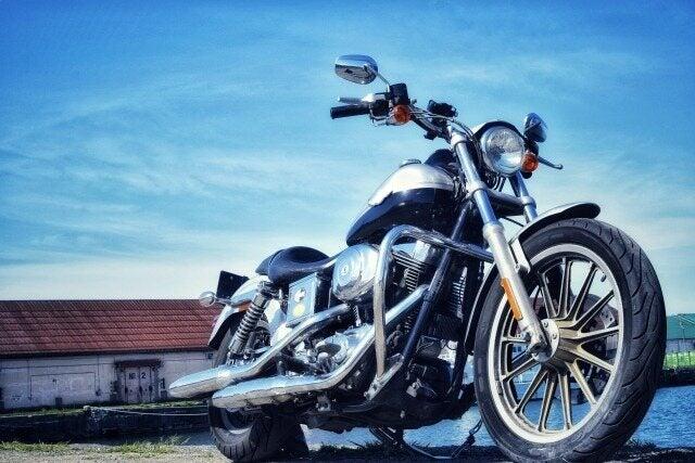 株式会社エイビス 株式会社エイビス【N3】の仕事画像1