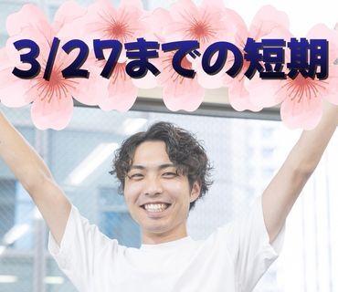 株式会社エイビス 株式会社エイビス【N3】の仕事画像1