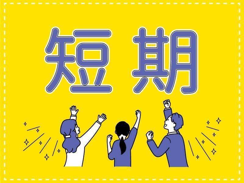 株式会社エイビス 株式会社エイビス【N3】の仕事画像2