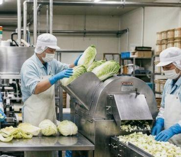 株式会社エイビス 株式会社エイビス【N3】の仕事画像1