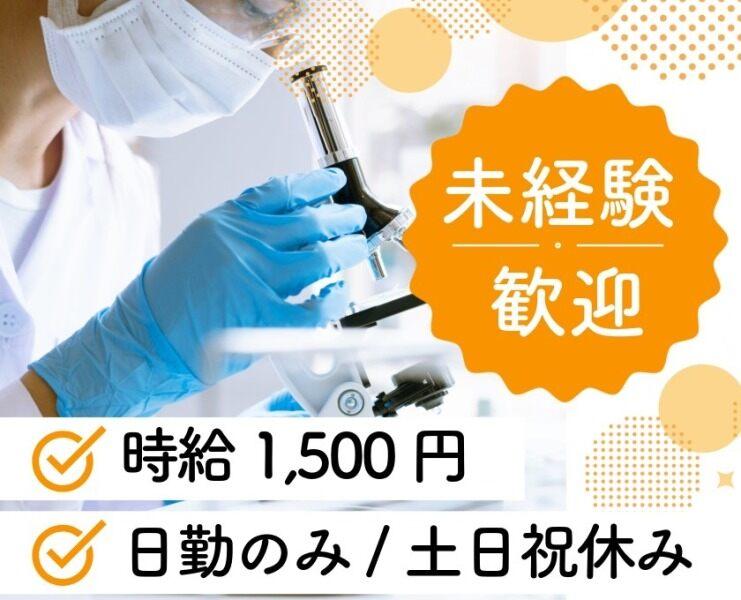 UMCジャストインスタッフ株式会社の仕事画像1