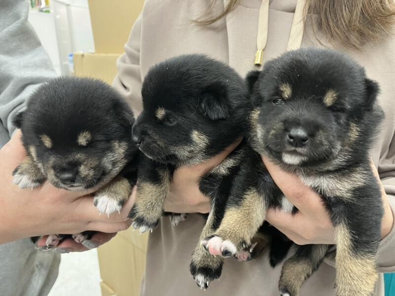 ダイコクドラッグ　難波事務所の仕事画像3