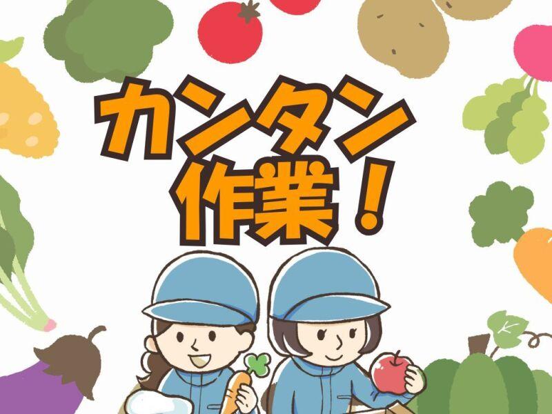 株式会社J・スタッフ【本社】 【福岡】応募受付0119の仕事画像1