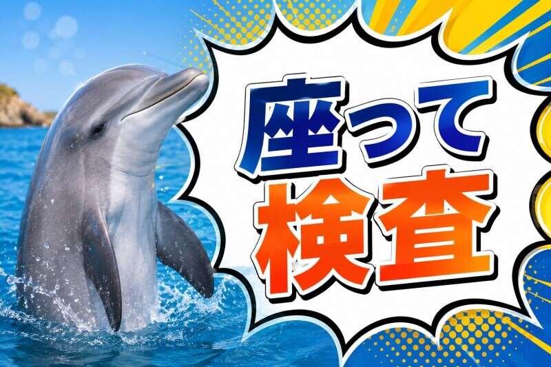株式会社カインズスタッフ 船橋本社[01]の仕事画像1
