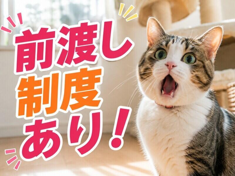 株式会社カインズスタッフ 船橋本社[01]の仕事画像2