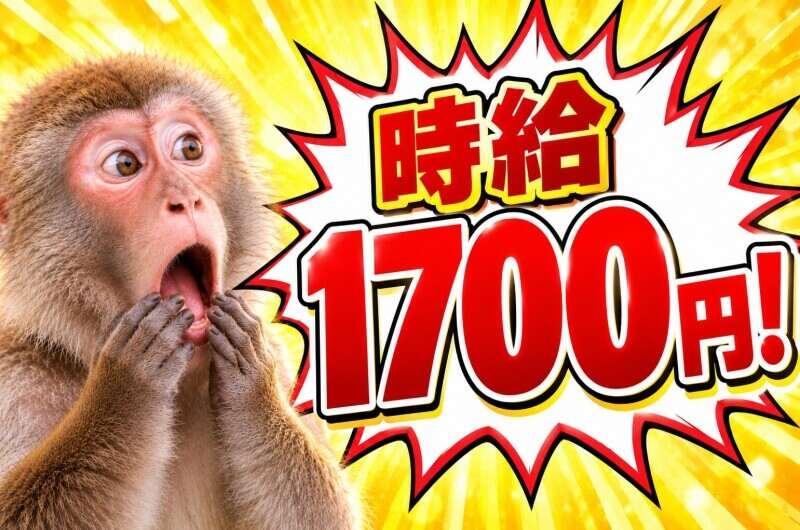 株式会社カインズスタッフ 船橋本社[01]の仕事画像1