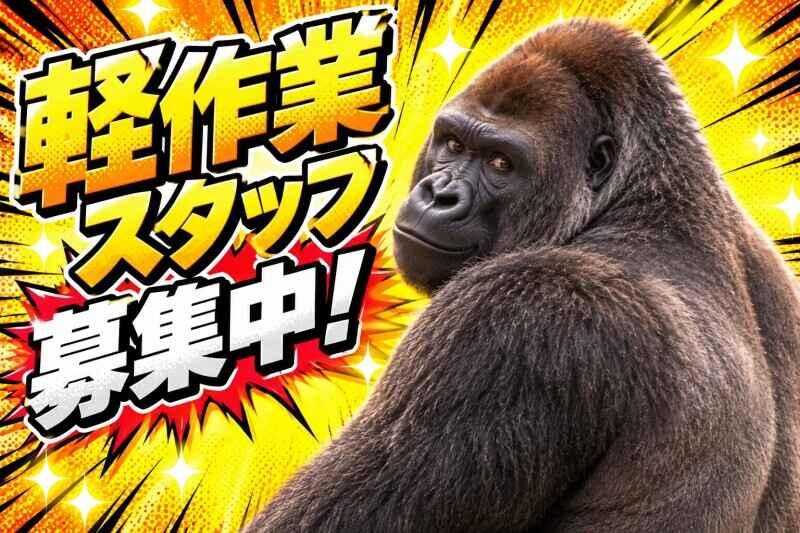 株式会社カインズスタッフ 船橋本社[01]の仕事画像1