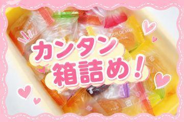 株式会社カインズスタッフ 船橋本社[02]の仕事画像1