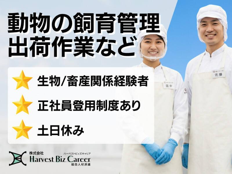 株式会社ハーベストビィズキャリア 富士営業所の仕事画像1