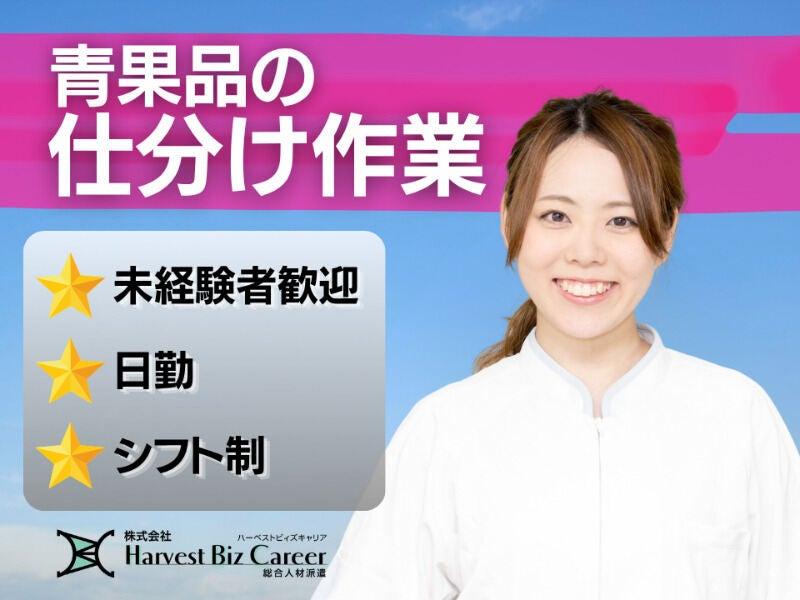 株式会社ハーベストビィズキャリア 久喜営業所の仕事画像1
