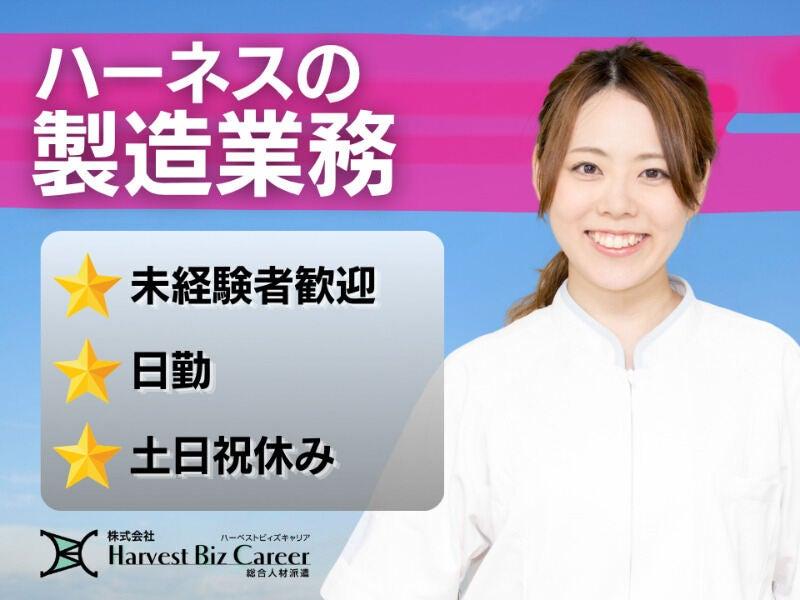 株式会社ハーベストビィズキャリア 熊本営業所の仕事画像1