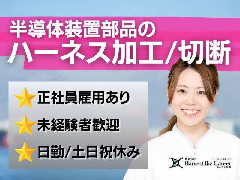 株式会社ハーベストビィズキャリア 熊本営業所の仕事画像1