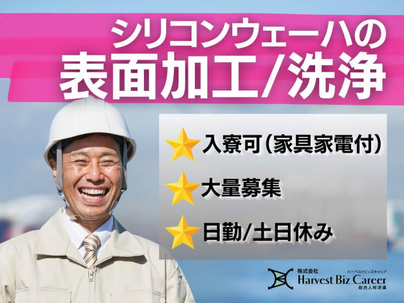 株式会社ハーベストビィズキャリア 柏駅前営業所の仕事画像1