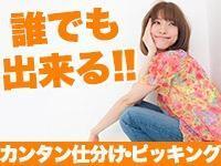 株式会社キャリアスタッフィング 新宿オフィスの仕事画像1