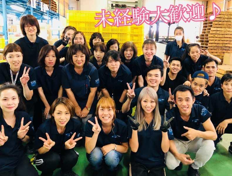 株式会社フリーセルの仕事画像2