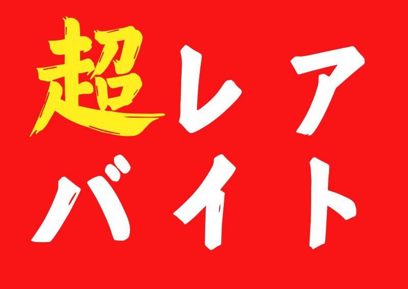 株式会社エレベートの仕事画像2
