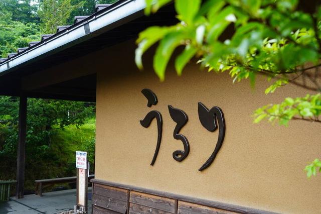 新しい仲間募集！髪色髪型ピアスOK♪遊園地敷地内の温泉staff(サービス、相模原市緑区)のイメージ画像