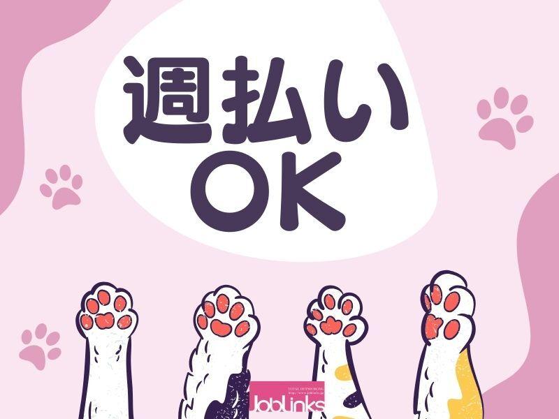 株式会社ジョブリンクスの仕事画像2