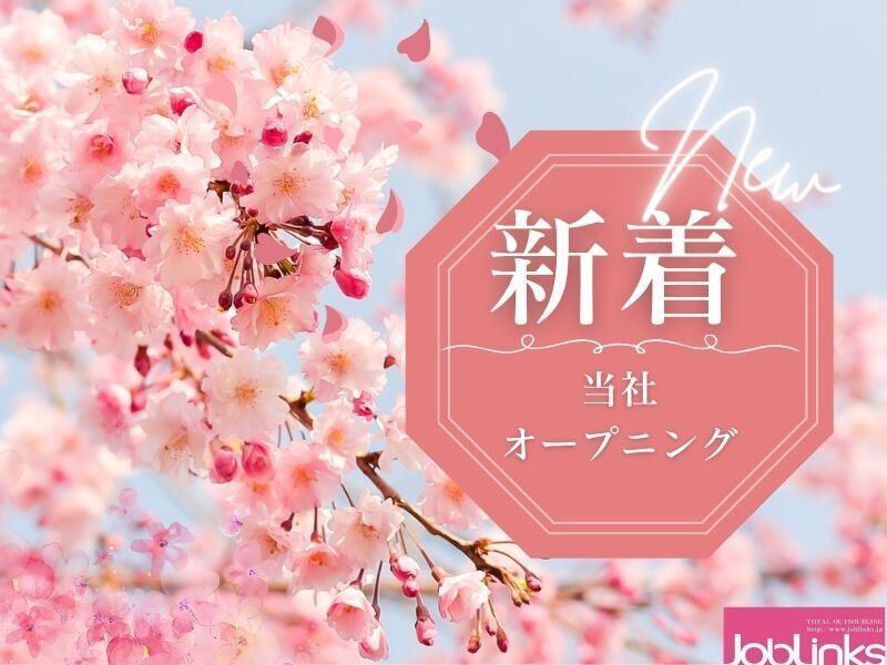 株式会社ジョブリンクスの仕事画像1